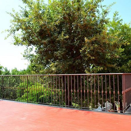 B&B Le Tre Rose Di Maria ペダーラ エクステリア 写真